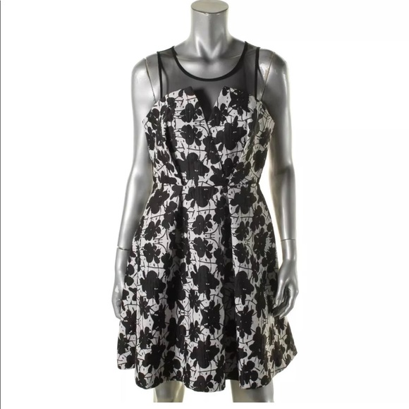 BCBGeneration B/W Textured Dress NWT 6 - Picture 5 of 8